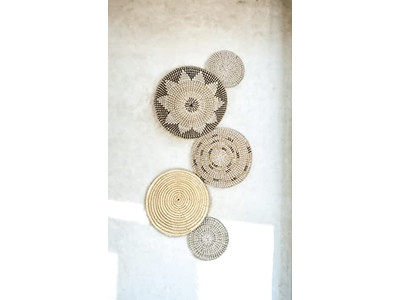 Décoration Murale d'Aviron Peint Citrouille Jacinthe d'Eau