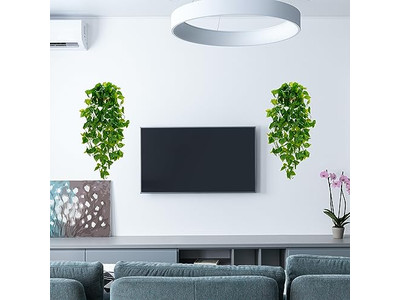 Assiettes murales décoration art mariage suspendu bohème occidental chambre